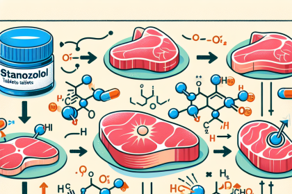 Comment les comprimés de stanozolol affectent la synthèse des protéines dans les viandes