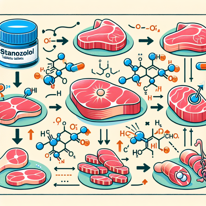 Comment les comprimés de stanozolol affectent la synthèse des protéines dans les viandes